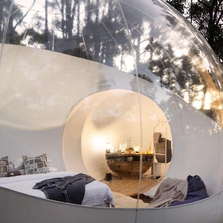 Skyview Bubbletent Eganstown Exterior photo